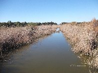 Lago_Gornalunga - 20110206 172.jpg